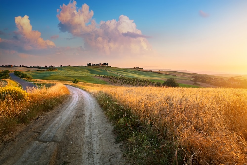 A winding dirt road leads through golden fields and green hills under a bright sky with fluffy clouds. The setting sun casts a warm light over the landscape, highlighting the natural beauty of the countryside.