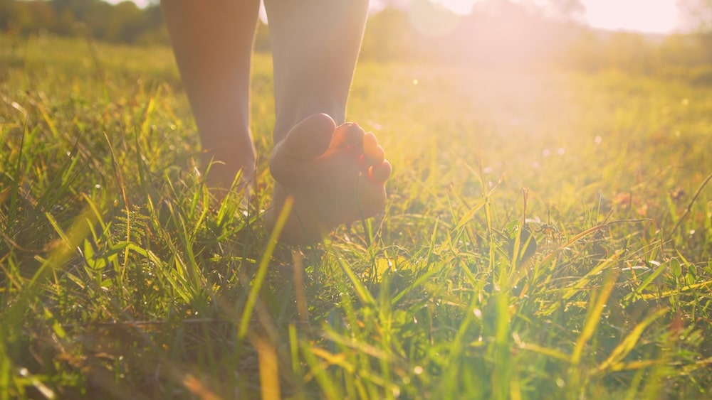 Close-up view of a person's bare feet walking on grass in a sunlit field. The sunlight filters through the grass, creating a warm and natural atmosphere.